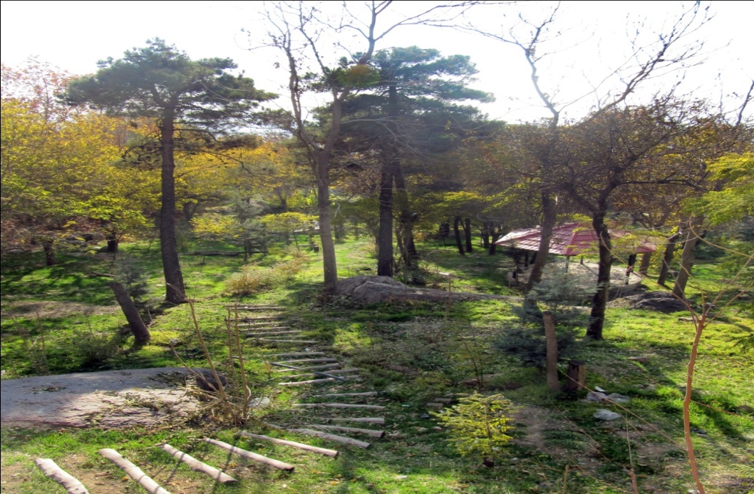 مسیر راهپیمایی