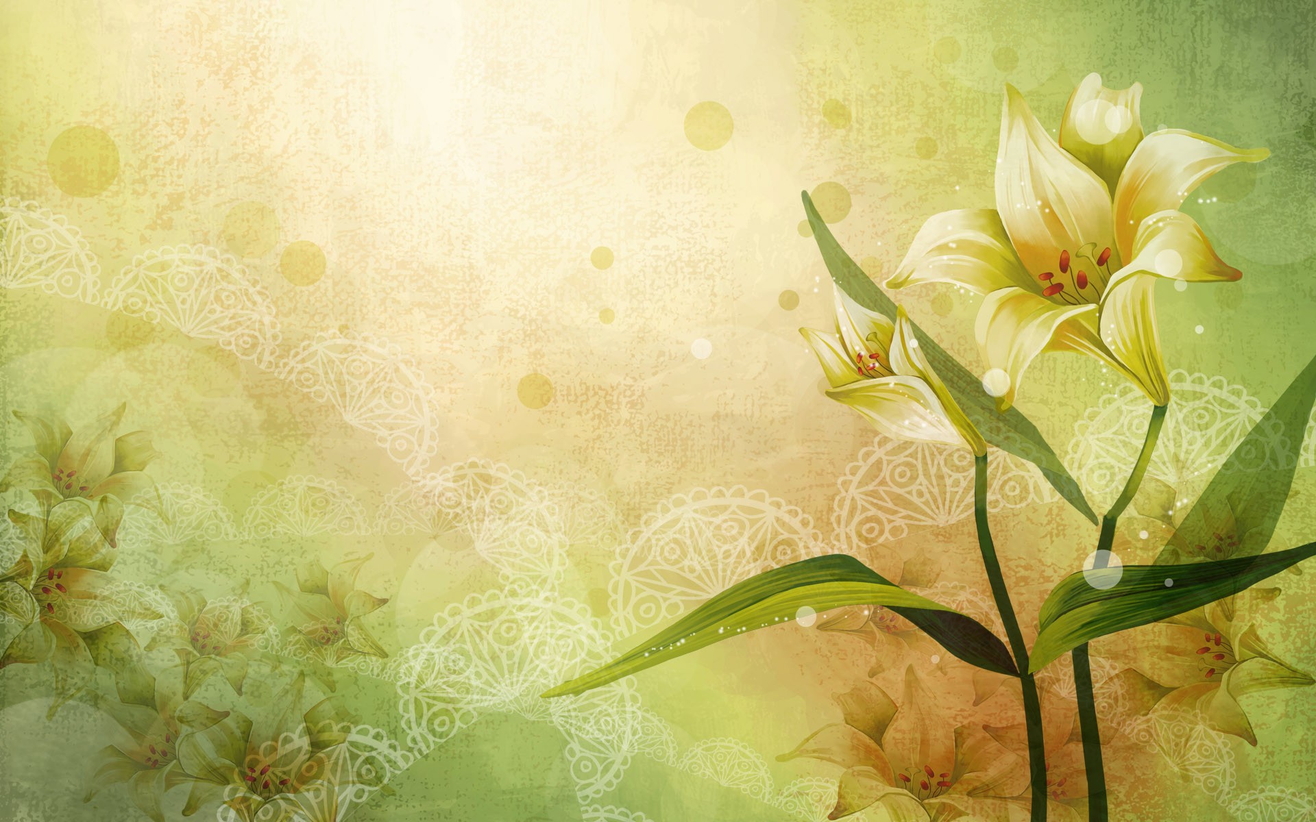 new-Beautiful-flower-desktop