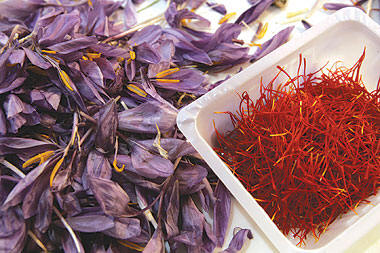 saffron