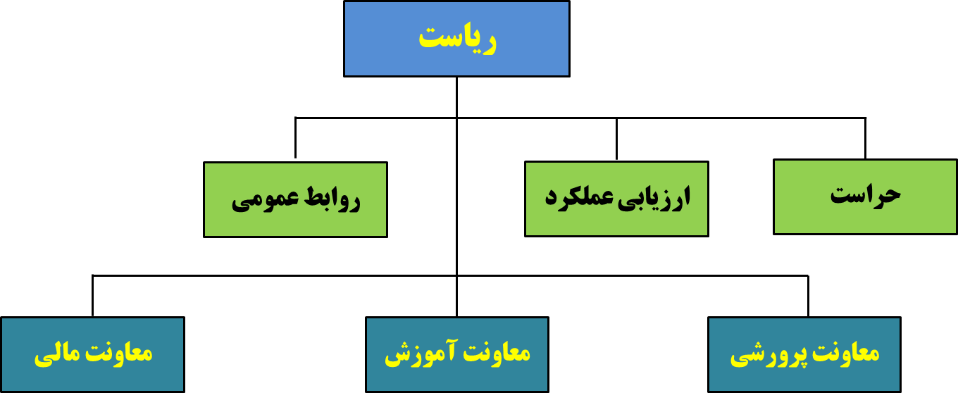 Picture1