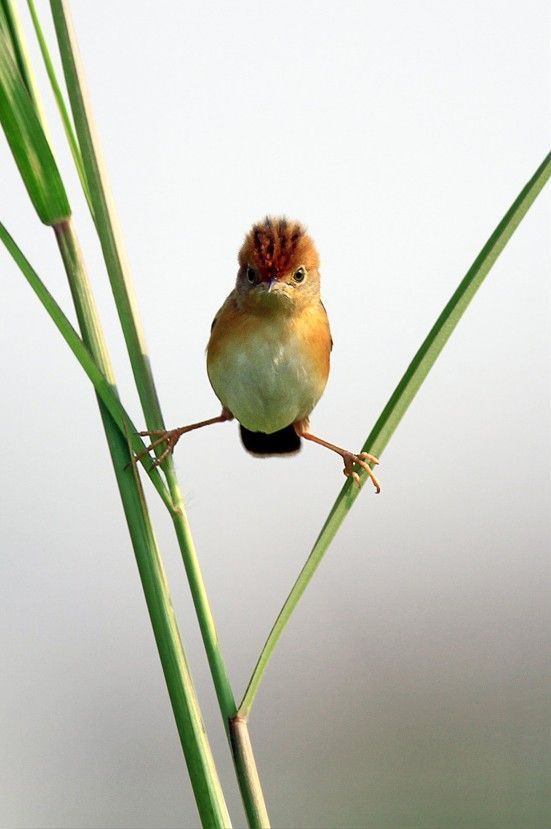 0 304605001307084696 parsnaz ir